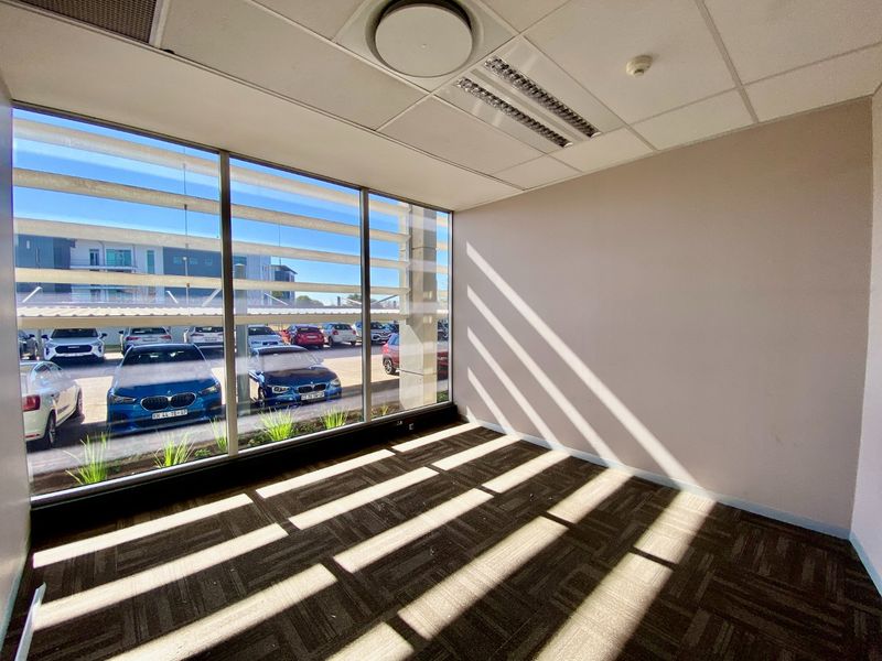 A bright, empty office space featuring large floor-to-ceiling windows, carpeted flooring, and a suspended ceiling with integrated lighting.