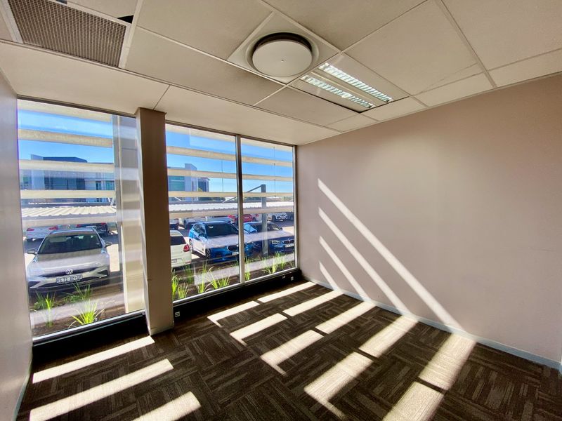 A bright, vacant office space featuring large floor-to-ceiling windows, carpeted flooring, and a suspended ceiling with integrated lighting.
