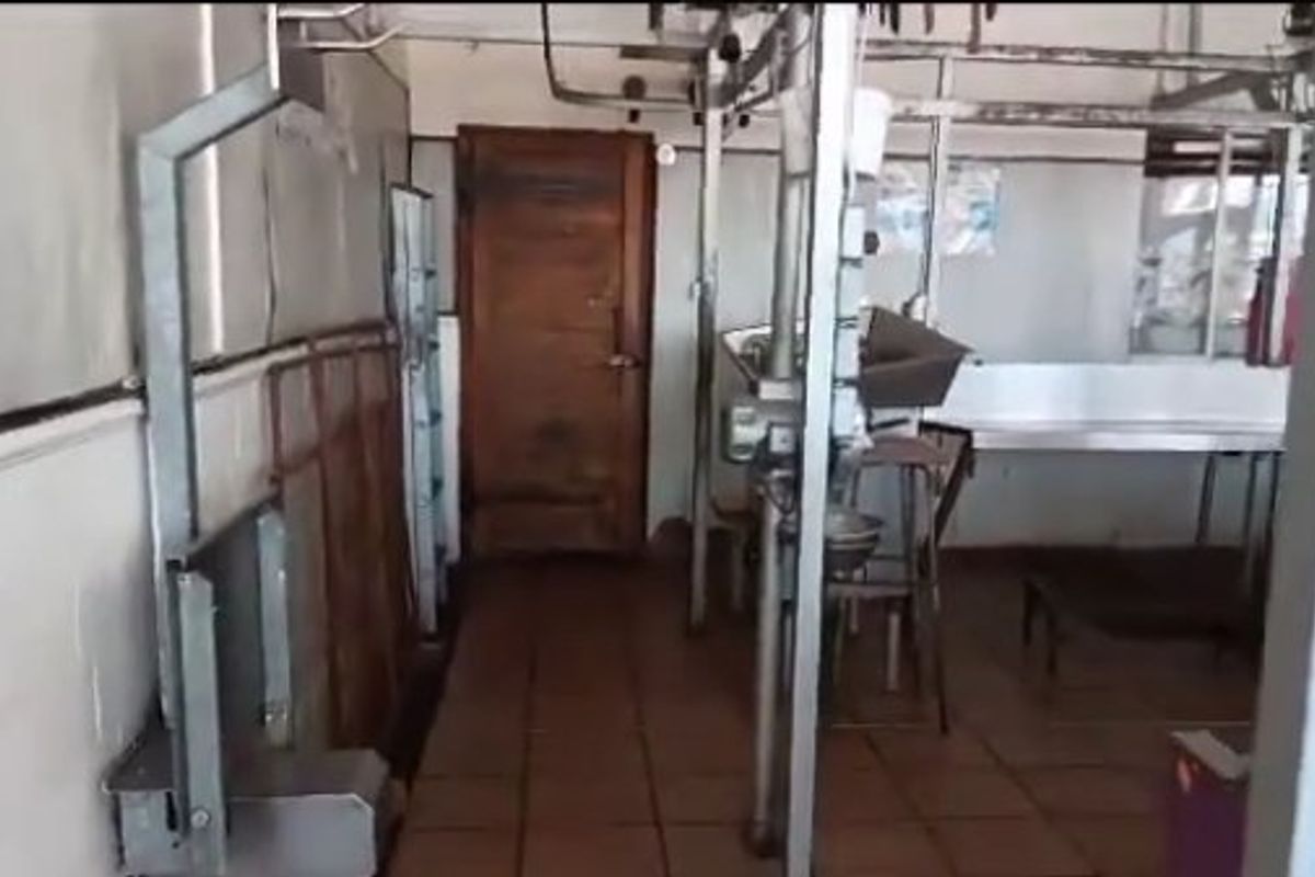 Established butchery with residential income potential - Photo 5
