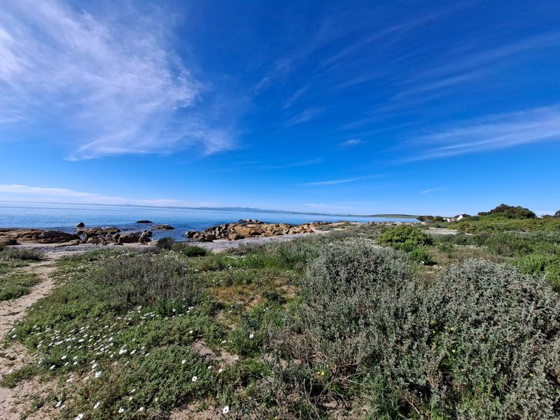 A scenic view of the coastal landscape featuring a rocky shoreline and natural vegetation overlooking the ocean.