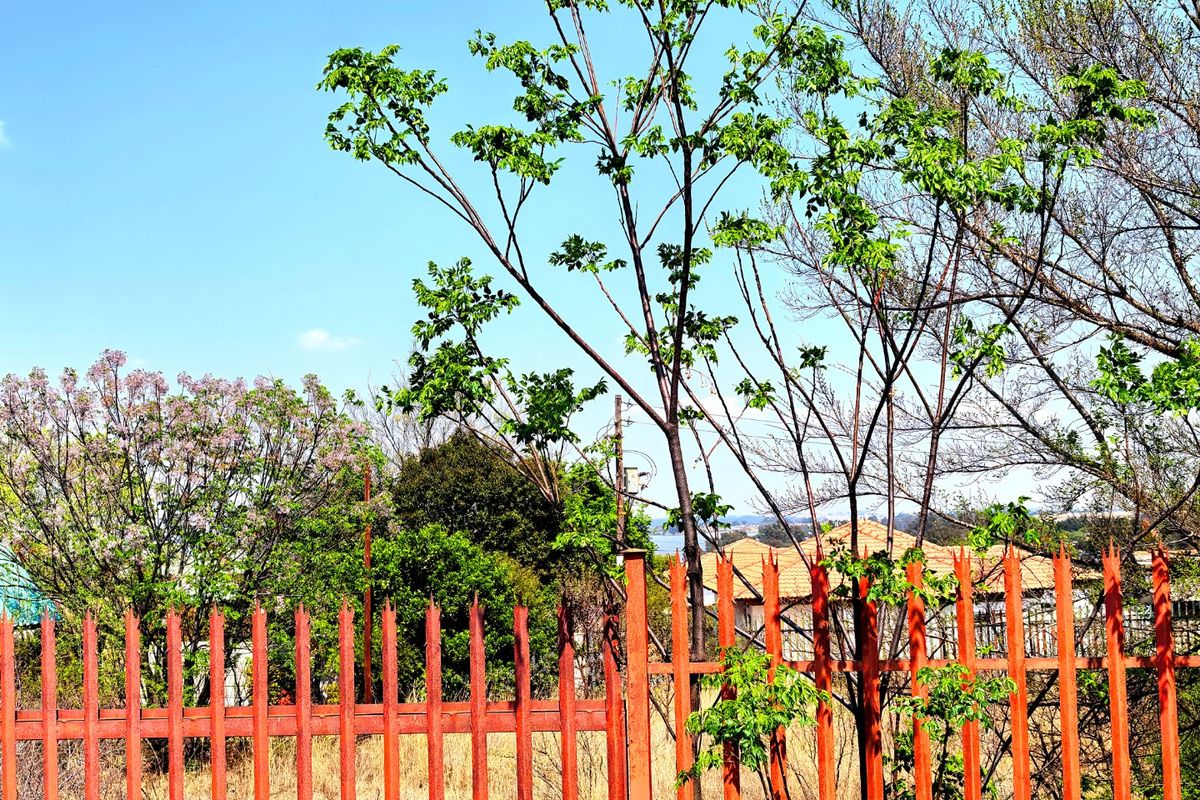 A view of a residential plot featuring mature trees and red metal palisade fencing against a clear blue sky.