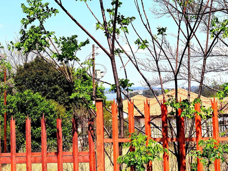A view of the surrounding landscape and neighboring properties, framed by mature trees and a rusted metal spike fence.
