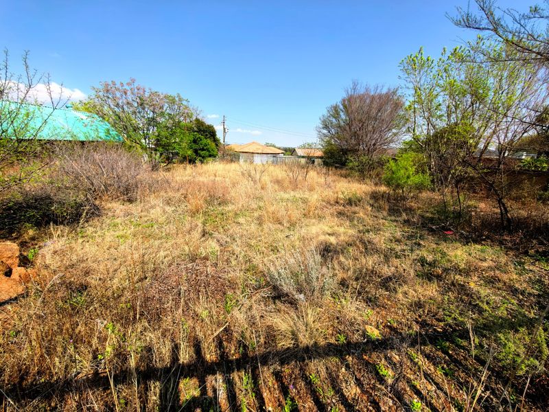A view of an undeveloped residential plot featuring overgrown grass and mature trees, suitable for future construction or landscaping projects.