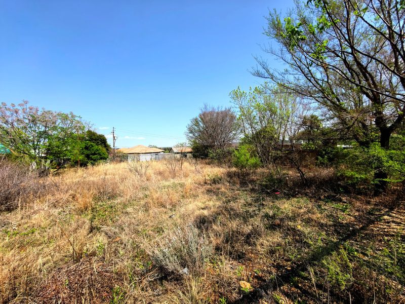 A view of an undeveloped residential plot featuring dry grass and mature trees under a clear blue sky.