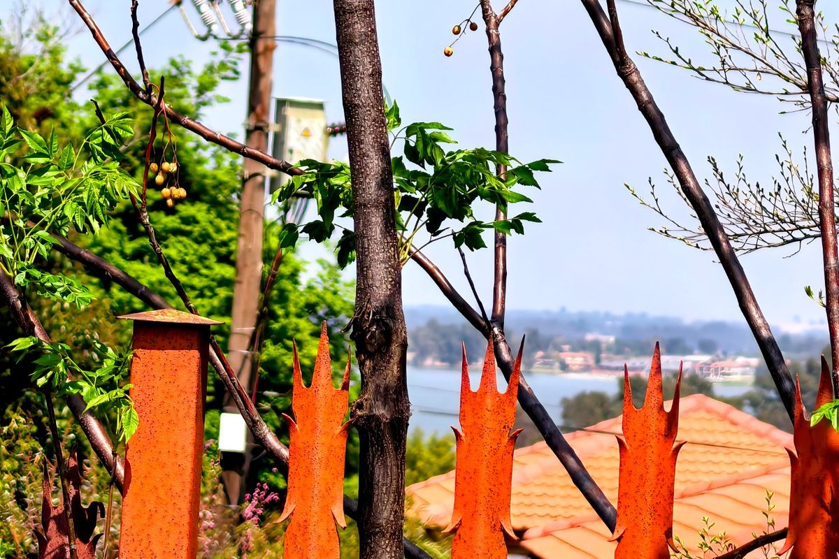 A view of the surrounding landscape and distant water, framed by rusted metal security fencing and a utility pole.