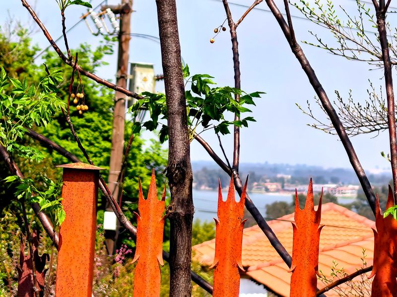 A view of the surrounding landscape and distant water, framed by rusted metal security fencing and a utility pole.
