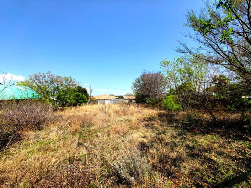 A vacant residential plot featuring overgrown grass and mature trees, enclosed by perimeter fencing.