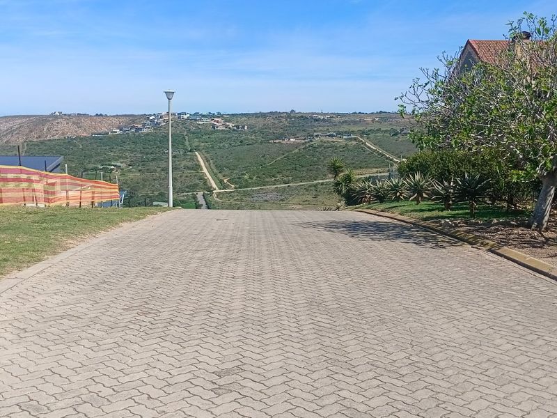 A view looking down a paved residential street with surrounding landscape and neighborhood views.