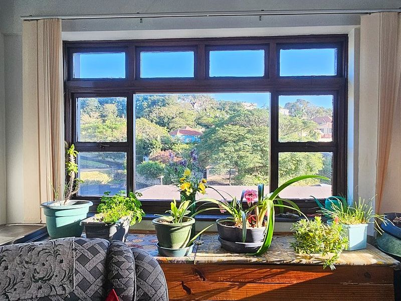 A living room area featuring a large timber-framed window that provides natural light and views of the surrounding greenery.
