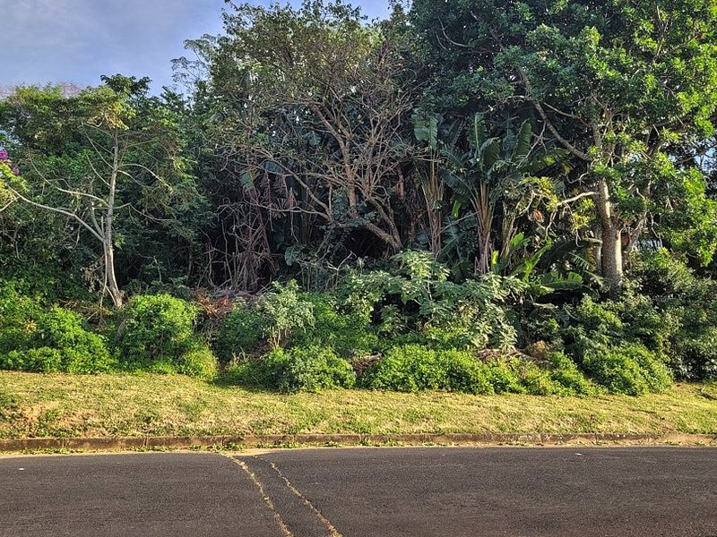 A view of a residential vacant land plot featuring established trees and greenery, with direct asphalt road frontage.
