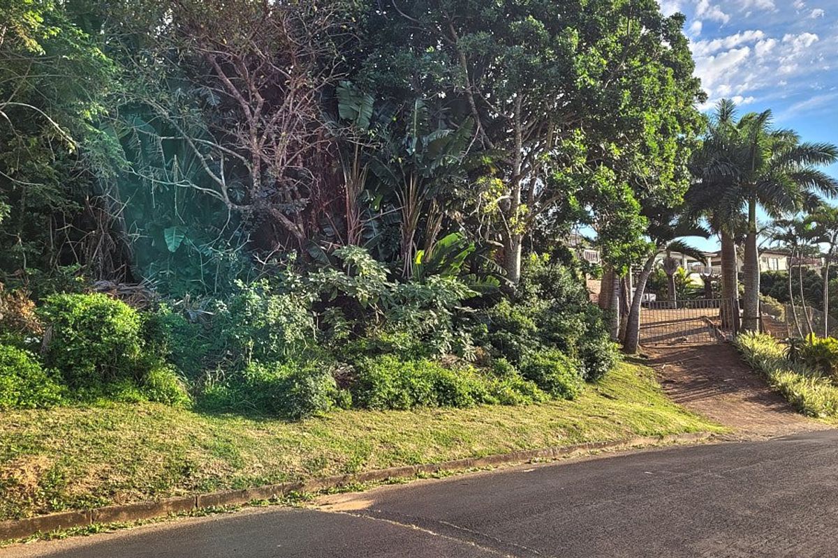 A view of the vacant residential plot featuring a paved driveway, metal gate, and established mature trees and vegetation.