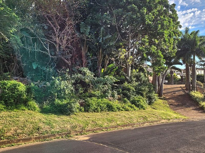 A view of the vacant residential plot featuring a paved driveway, metal gate, and established mature trees and vegetation.