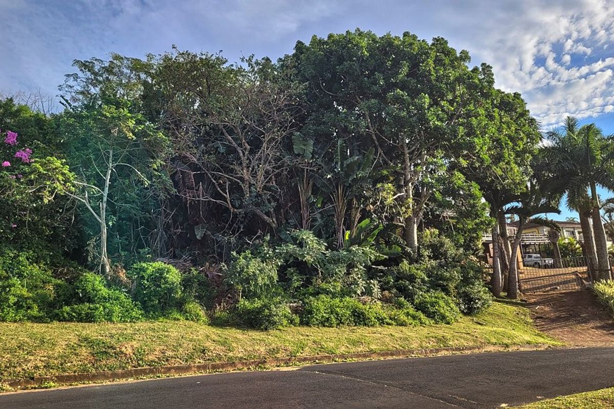 A view of a vacant residential plot featuring mature trees, established vegetation, and a gated driveway entrance from the street.