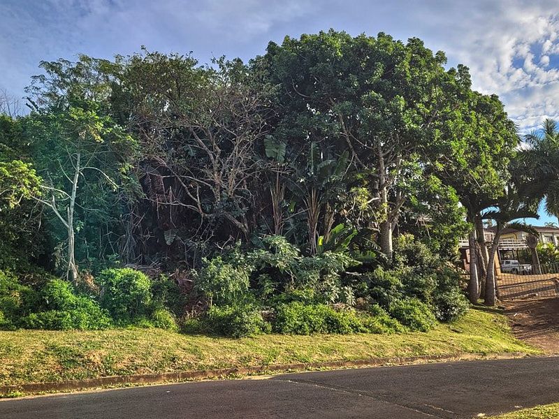 A view of a vacant residential plot featuring mature trees, established vegetation, and a gated driveway entrance from the street.