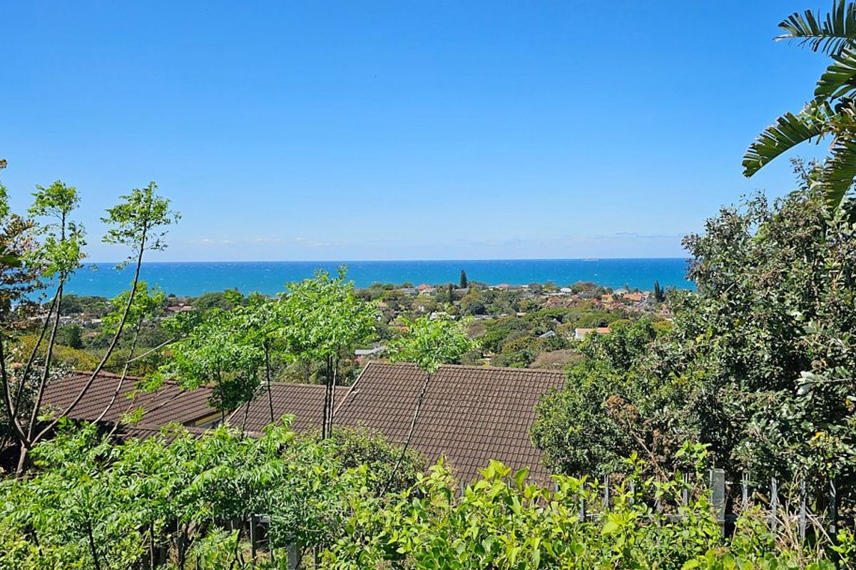 Elevated coastal view overlooking residential rooftops and lush greenery towards the ocean horizon.