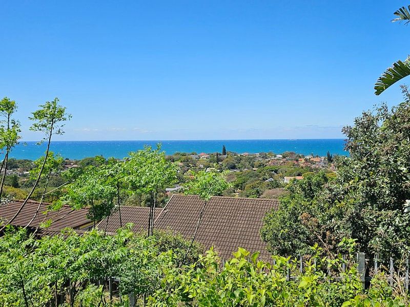 Elevated coastal view overlooking residential rooftops and lush greenery towards the ocean horizon.