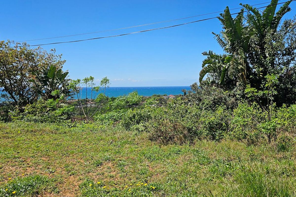 A scenic outdoor view overlooking the coastline and ocean, featuring natural vegetation and open land.