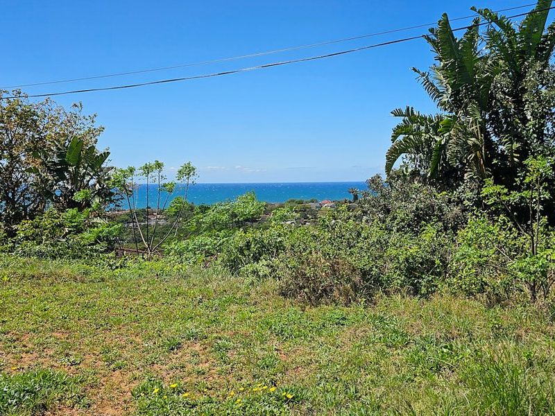 A scenic outdoor view overlooking the coastline and ocean, featuring natural vegetation and open land.