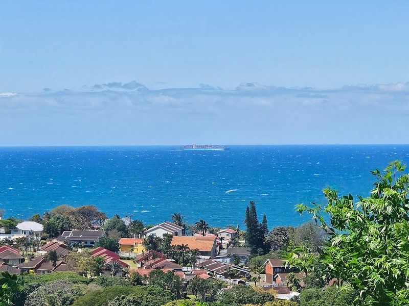 A scenic elevated view overlooking the coastal neighbourhood and the expansive blue ocean horizon.