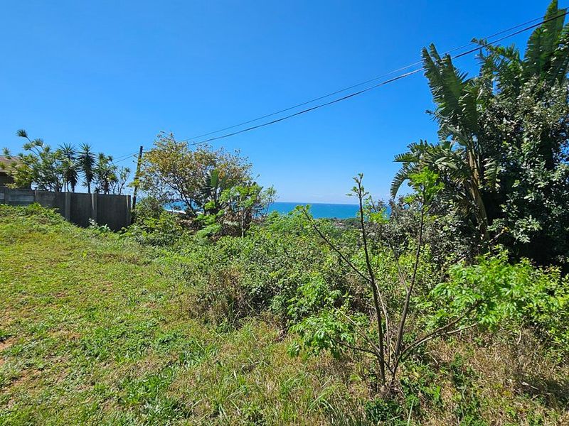 A scenic outdoor view overlooking the ocean, featuring natural vegetation and a concrete boundary wall on the property perimeter.