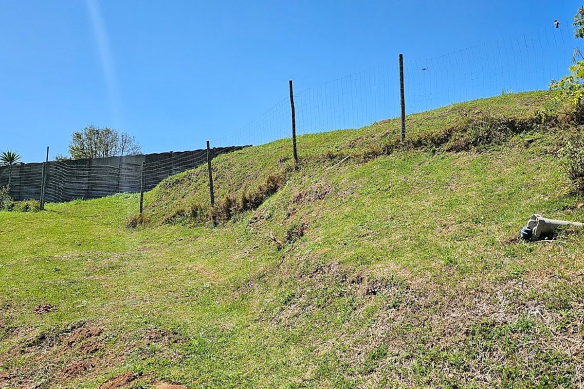 A sloped garden area featuring wire mesh perimeter fencing and a concrete retaining wall boundary.