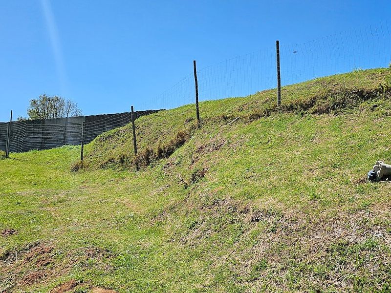 A sloped garden area featuring wire mesh perimeter fencing and a concrete retaining wall boundary.