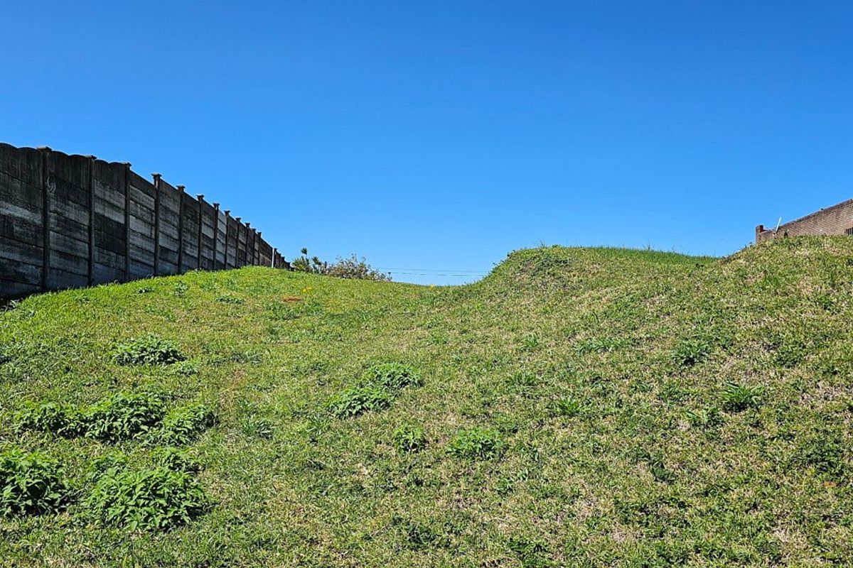 A sloped, undeveloped garden area featuring a precast concrete boundary wall under a clear blue sky.