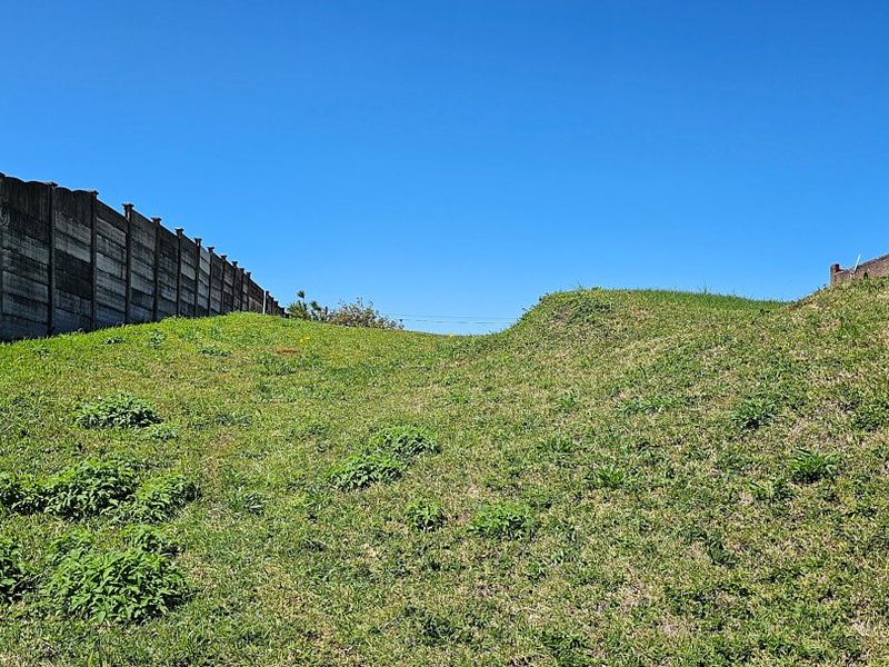 A sloped, undeveloped garden area featuring a precast concrete boundary wall under a clear blue sky.