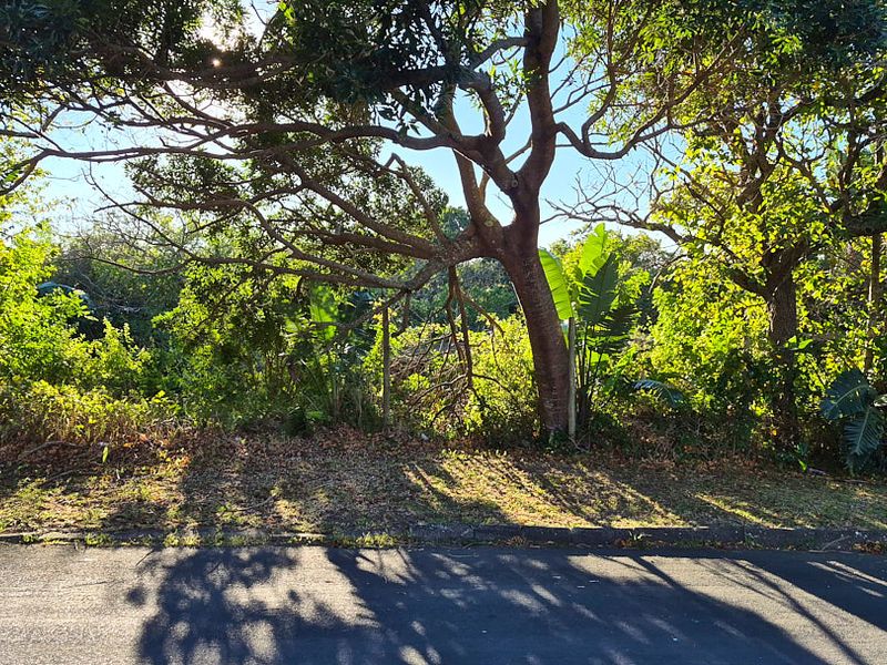A street-level view of the property frontage featuring mature trees and established vegetation along the roadside curb.