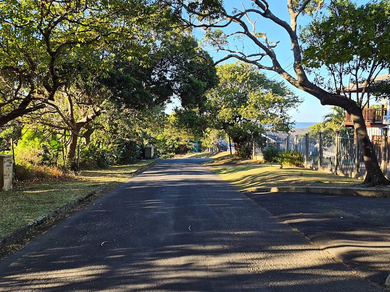 A view of the residential street approach featuring mature trees, asphalt road surface, and perimeter fencing.