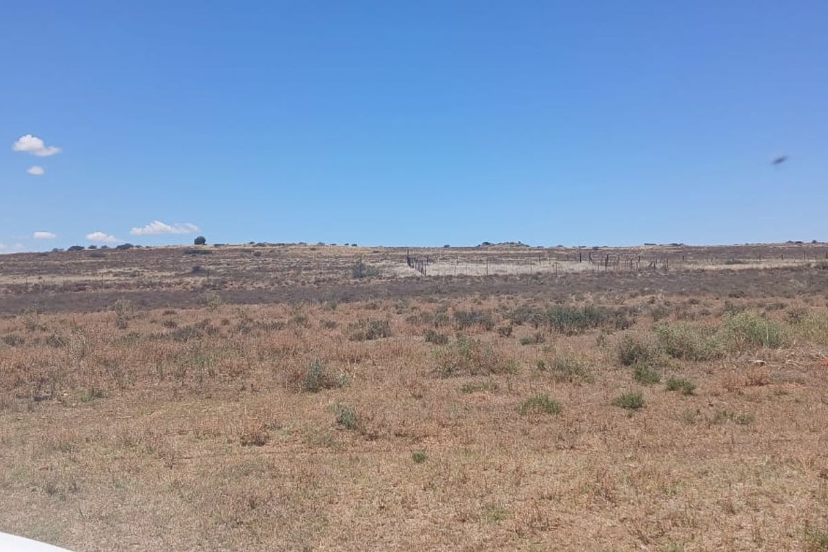 A wide-angle view of open, undeveloped residential land featuring natural vegetation and perimeter wire fencing under a clear blue sky.
