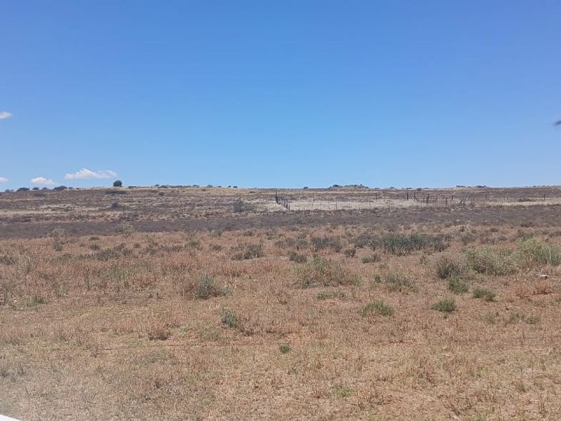 A wide-angle view of open, undeveloped residential land featuring natural vegetation and perimeter wire fencing under a clear blue sky.