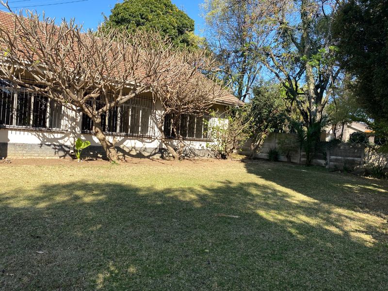 A view of the rear garden featuring a lawn area, mature trees, and the back elevation of the house with security bars on windows.