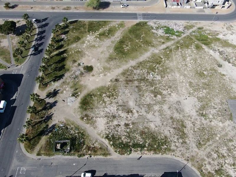 Aerial view of a vacant residential corner plot featuring established palm trees and direct access to surrounding paved roads.