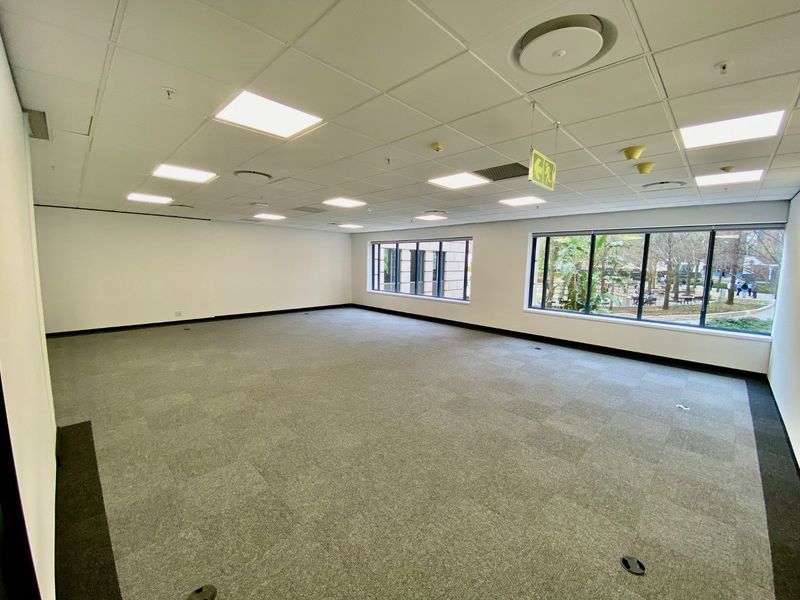 A spacious, empty commercial office area featuring carpeted flooring, a suspended ceiling with recessed lighting, and large windows providing natural light.
