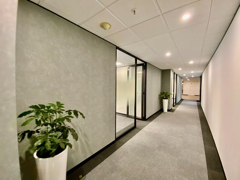 A clean, modern commercial office hallway featuring suspended ceilings, recessed lighting, carpeted flooring, and glass-partitioned office entrances.
