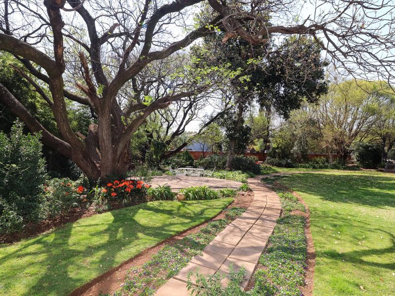 A beautifully landscaped garden featuring a paved walkway, mature trees, and a spacious paved patio area perfect for outdoor relaxation.
