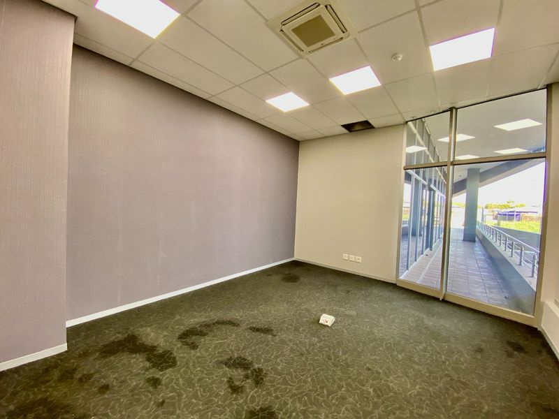 An empty commercial office space featuring carpeted flooring, suspended ceiling with recessed lighting, and floor-to-ceiling glass walls overlooking an exterior walkway.