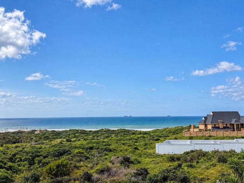 A scenic elevated view overlooking coastal vegetation and the ocean horizon.