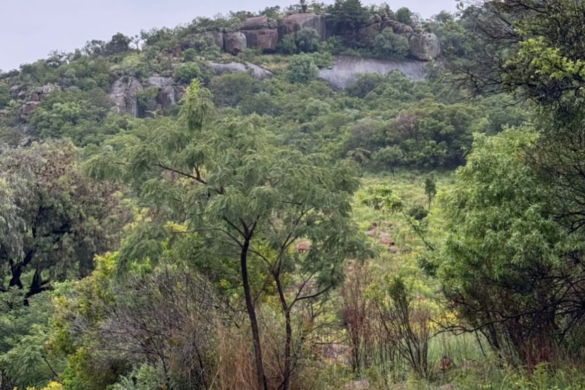 A scenic view of the natural farm landscape featuring rocky outcrops and lush indigenous vegetation.