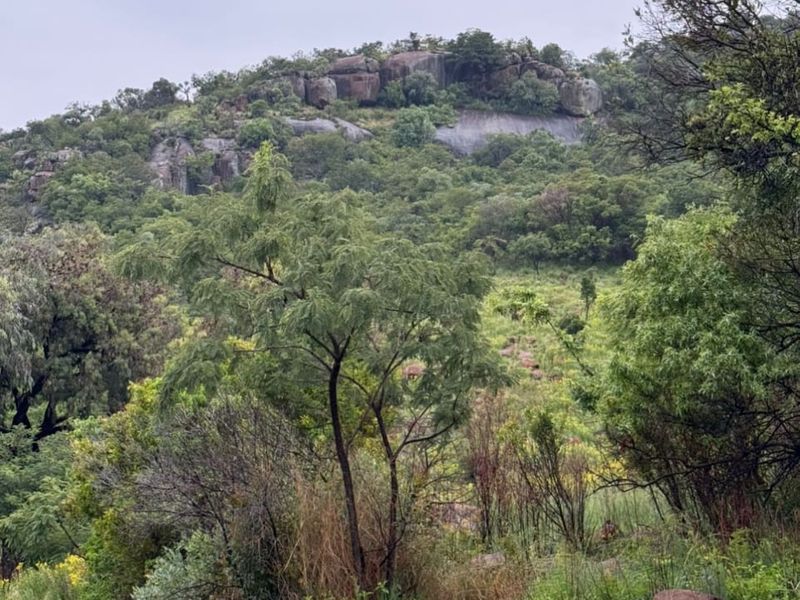 A scenic view of the natural farm landscape featuring rocky outcrops and lush indigenous vegetation.