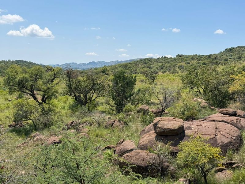 A scenic view of the natural landscape featuring rocky outcrops, indigenous trees, and rolling hills on the farm property.