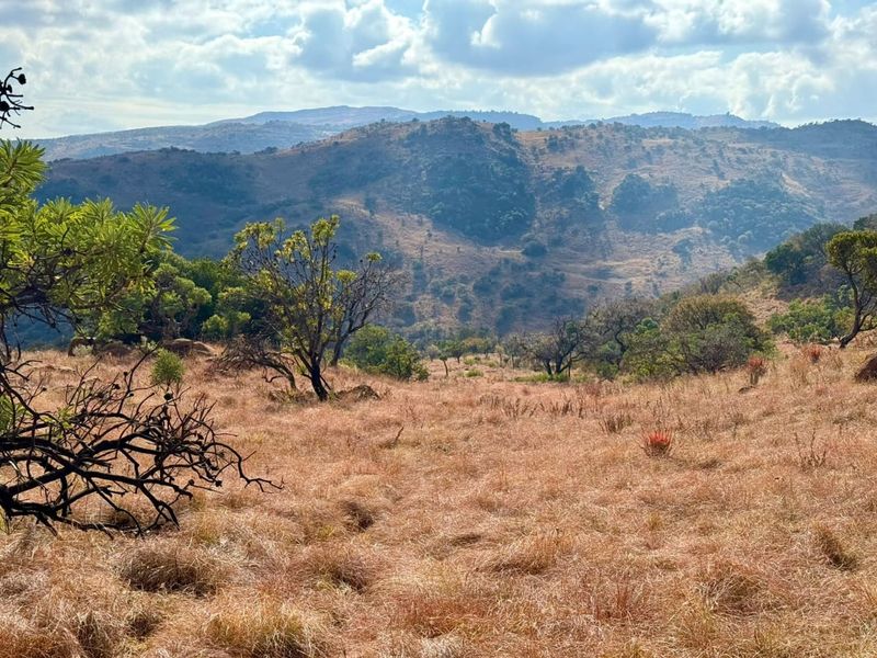 A scenic view of the expansive farm landscape featuring rolling hills and natural vegetation under a bright sky.