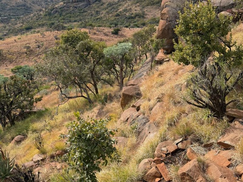A scenic view of the natural landscape featuring rocky terrain, indigenous trees, and rolling hills on the farm property.