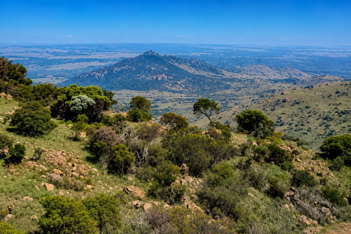 A scenic, elevated landscape view overlooking rolling hills, native vegetation, and distant mountain ranges on the farm property.