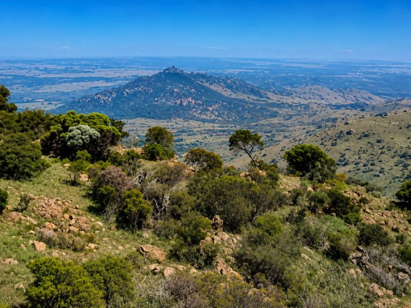 A scenic, elevated landscape view overlooking rolling hills, native vegetation, and distant mountain ranges on the farm property.