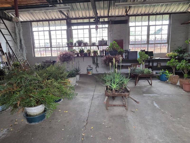 A spacious industrial-style utility area featuring exposed steel roof trusses, concrete flooring, and large steel-framed windows providing ample natural light.