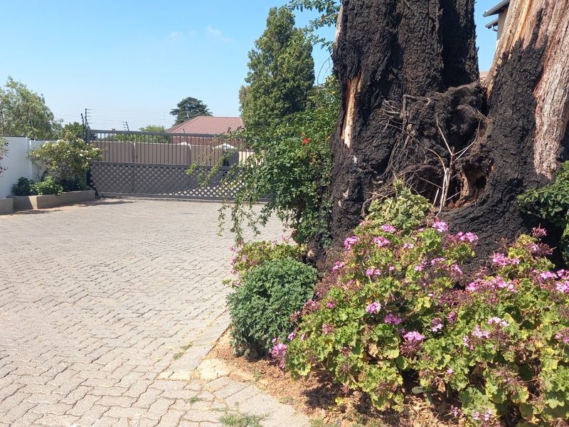 Front entrance area featuring a paved driveway, secure metal gate, and established garden landscaping with a large mature tree.