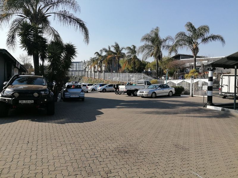 A paved commercial parking area featuring security fencing, gated access, and established palm trees.