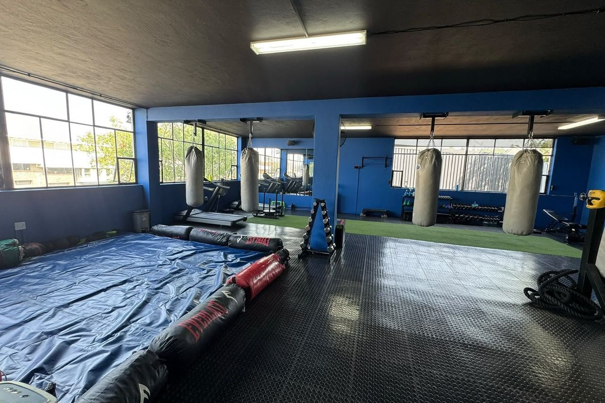 A spacious commercial gym facility featuring durable rubber flooring, artificial turf sections, large steel-framed windows, and ceiling-mounted fixtures for training equipment.